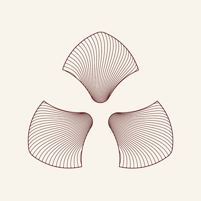 Platter illustration — final patterned interpretation